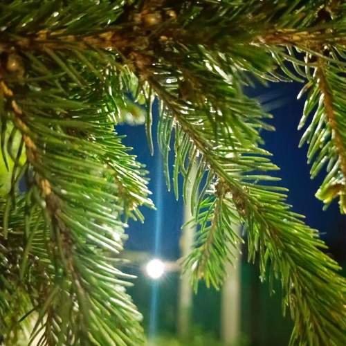 Photo #10584521
