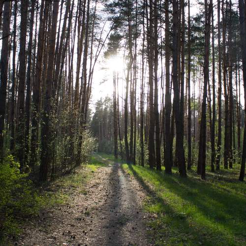 Photo #10584547