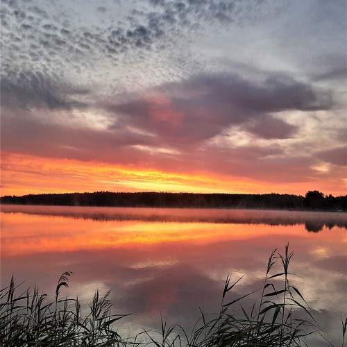 Photo #10584962