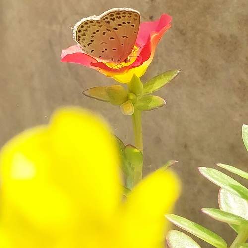 Photo #10585001
