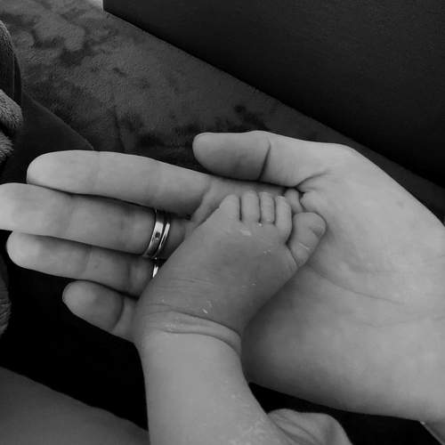 Photo #10585151