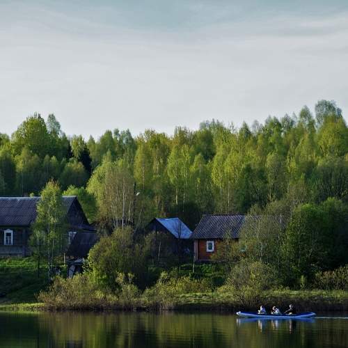 Photo #10585495