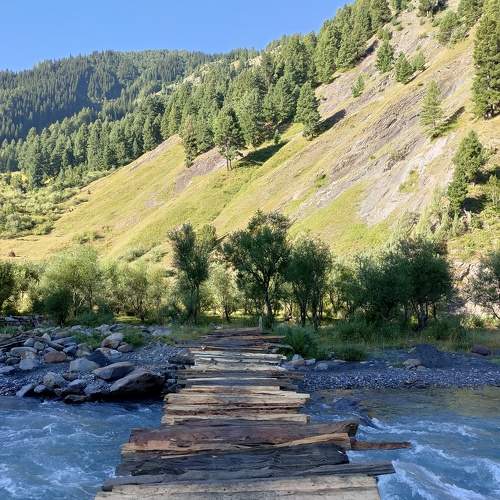 Photo #10585534