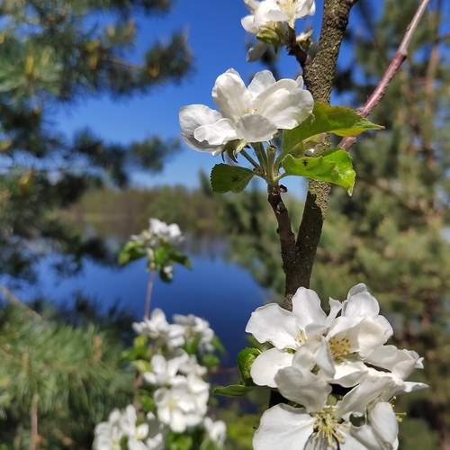 Photo #10585656