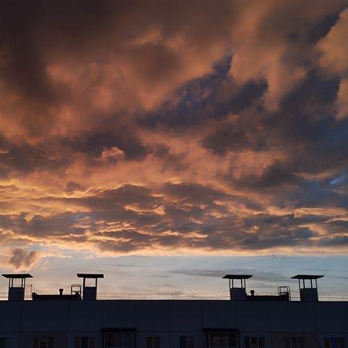 Photo #10585768