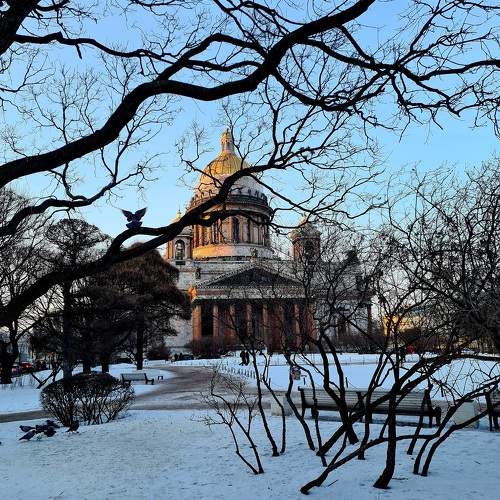 Photo #10586428