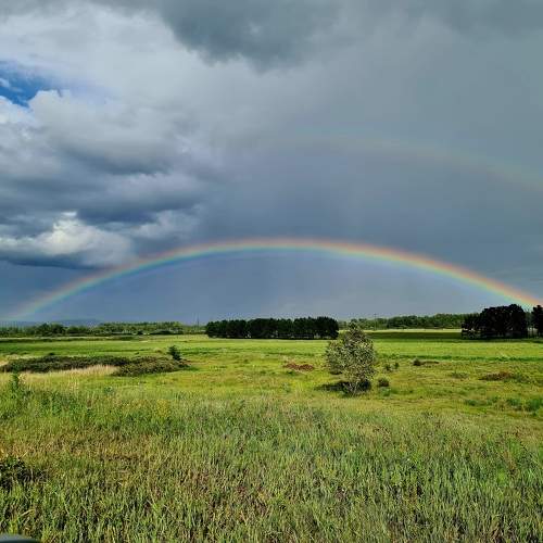 Photo #10586429