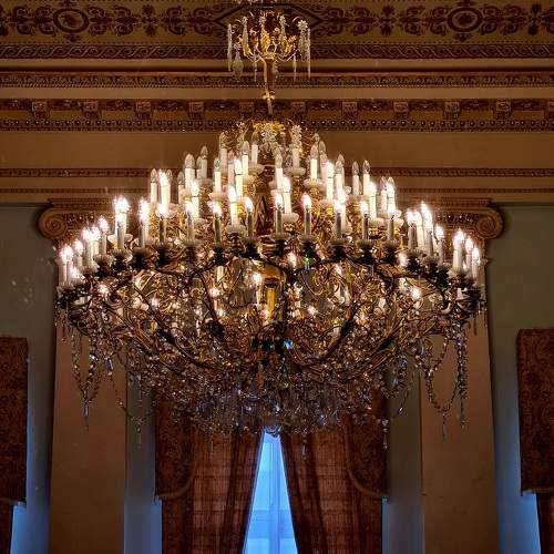 Photo #10586466