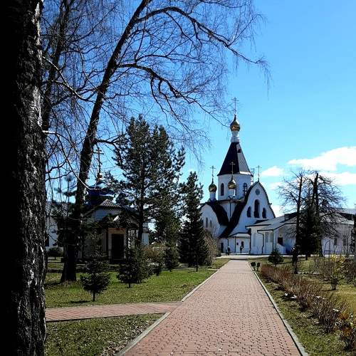 Photo #10586689
