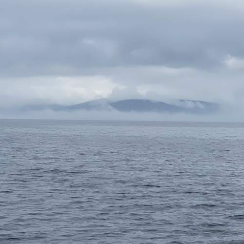 Photo #10586726