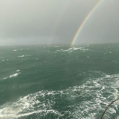 Photo #10586727
