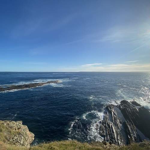 Photo #10586729