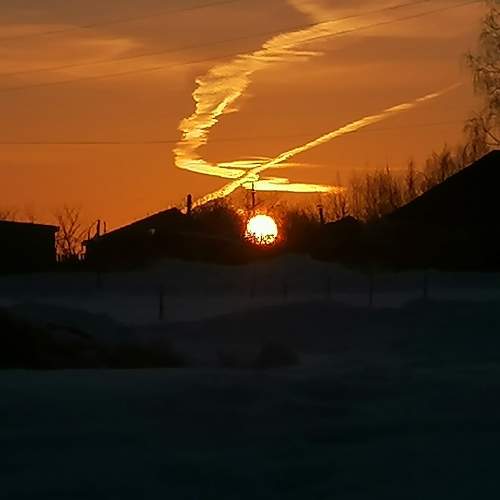 Photo #10586733