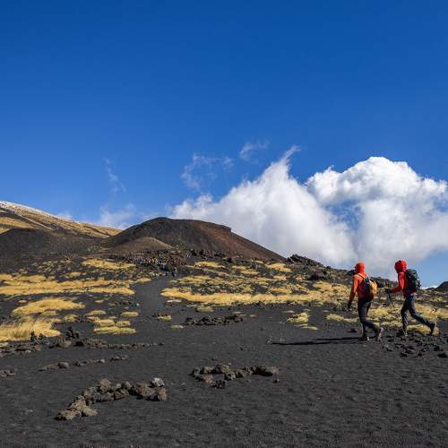 Photo #10587010