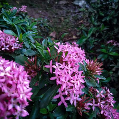 Photo #10587232