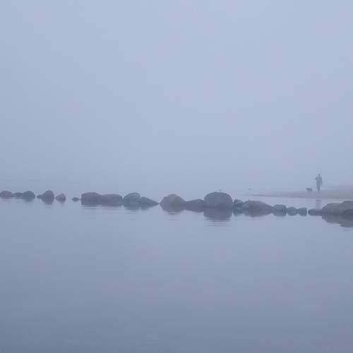 Photo #10587236