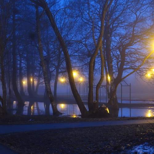Photo #10587283
