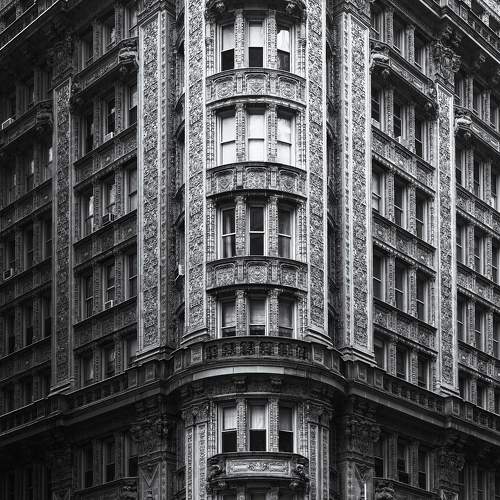 Photo #10587508