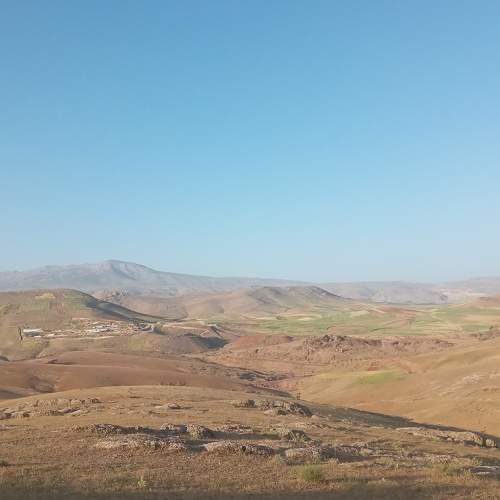Photo #10587943