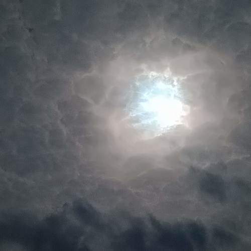 Photo #10588010