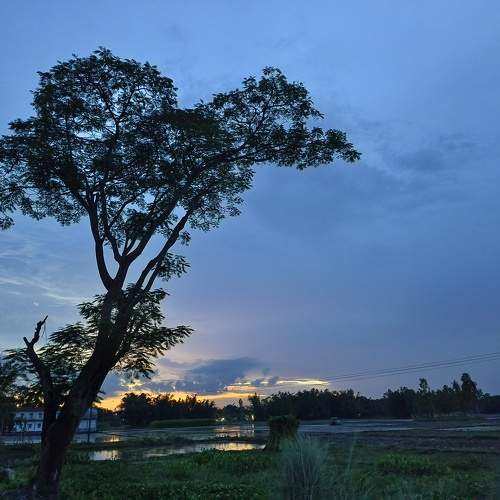 Photo #10588046
