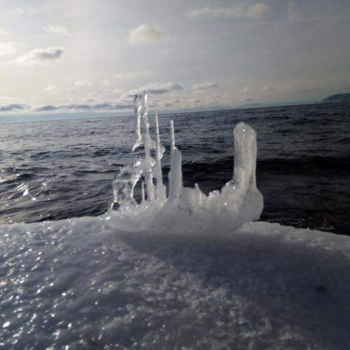 Photo #10588626