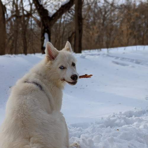 Вэй