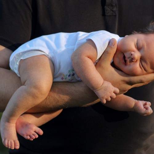 Photo #10588844