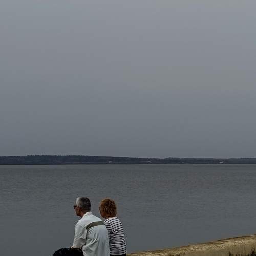 Photo #10588865