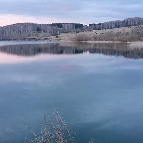 Photo #10588943