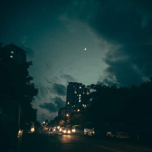 Photo #10589031