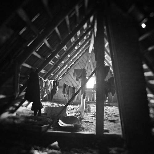 Photo #10589037