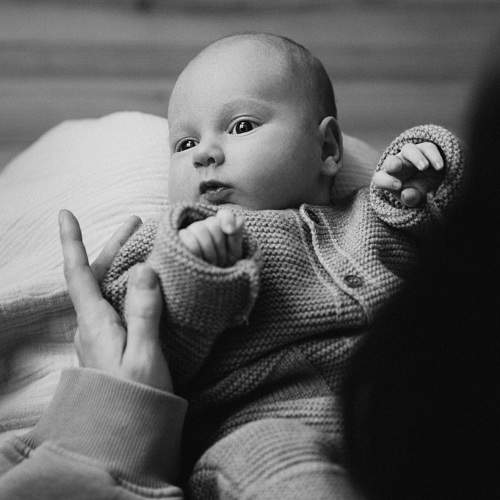 Photo #10589471