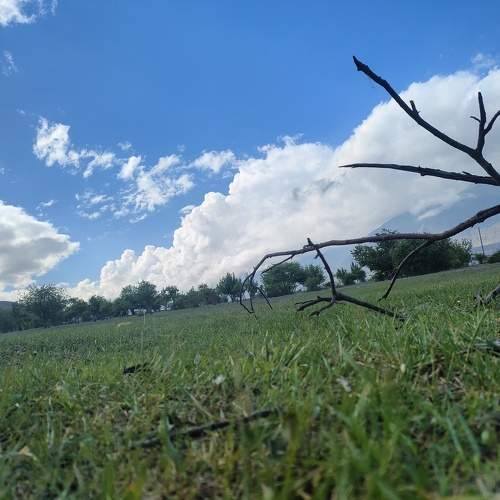 Photo #10589691