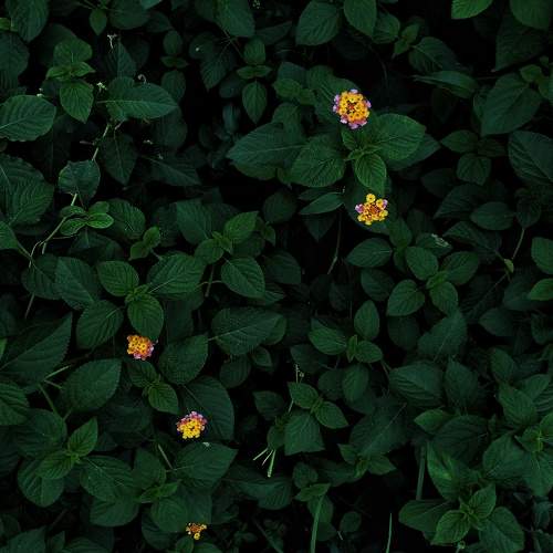 Photo #10589970