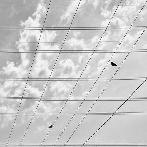 Photo #10590148