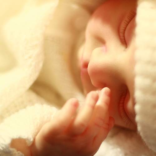 Photo #10590194