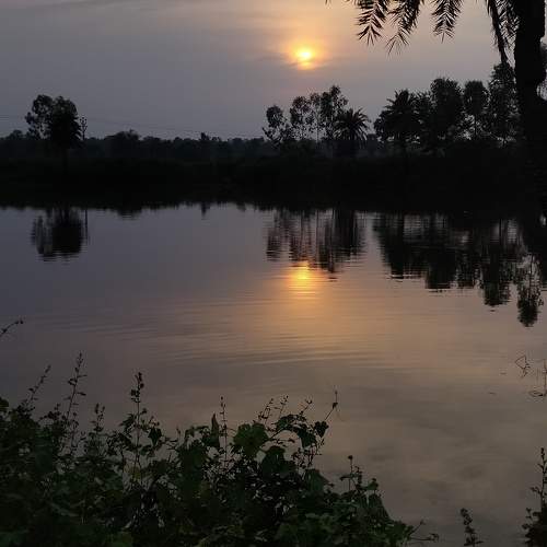 Photo #10590341