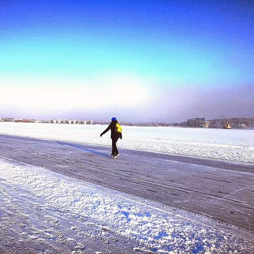 Photo #10590483