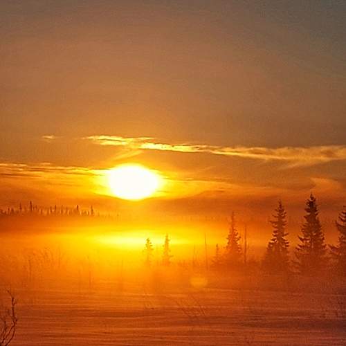 Photo #10590561