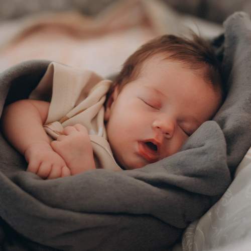 Photo #10590640