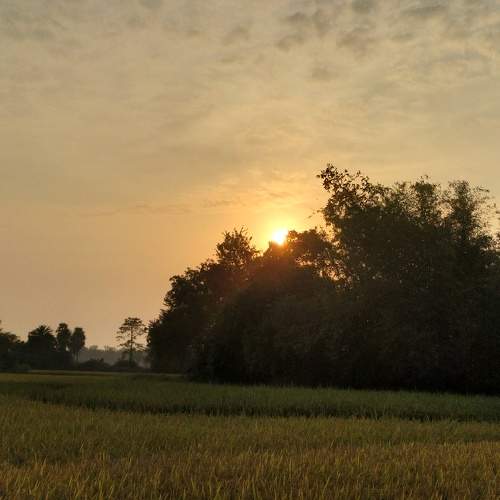 Photo #10591036