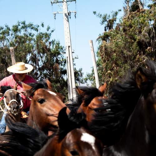 Photo #10591494