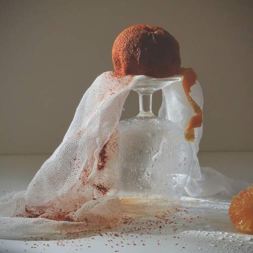 Photo #10591538