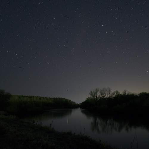 Photo #10592418