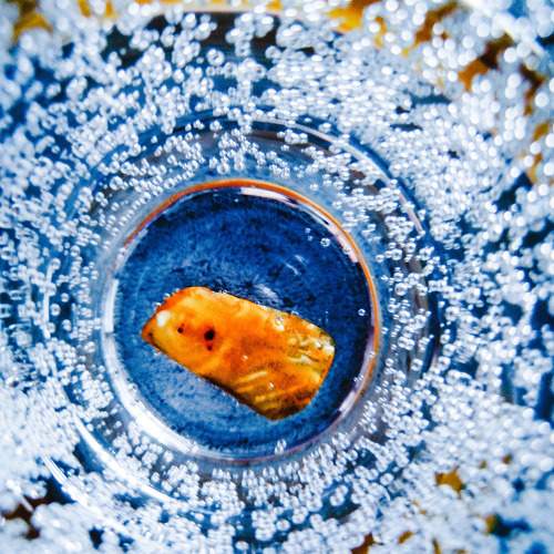 Photo #10592441