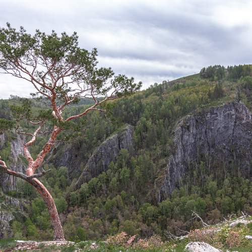 Photo #10592556