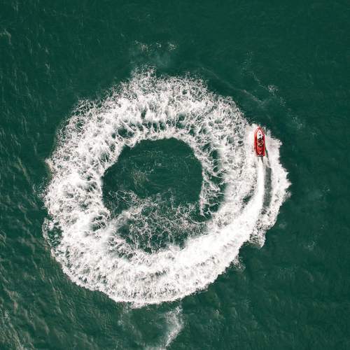 Photo #10593029