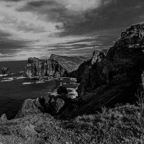 Madeira en Blanco y Negro