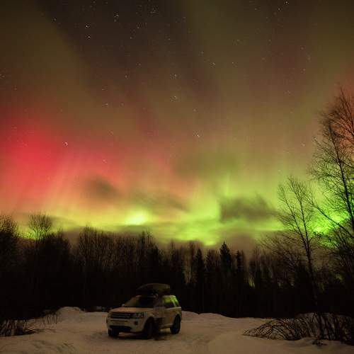 Photo #10593201